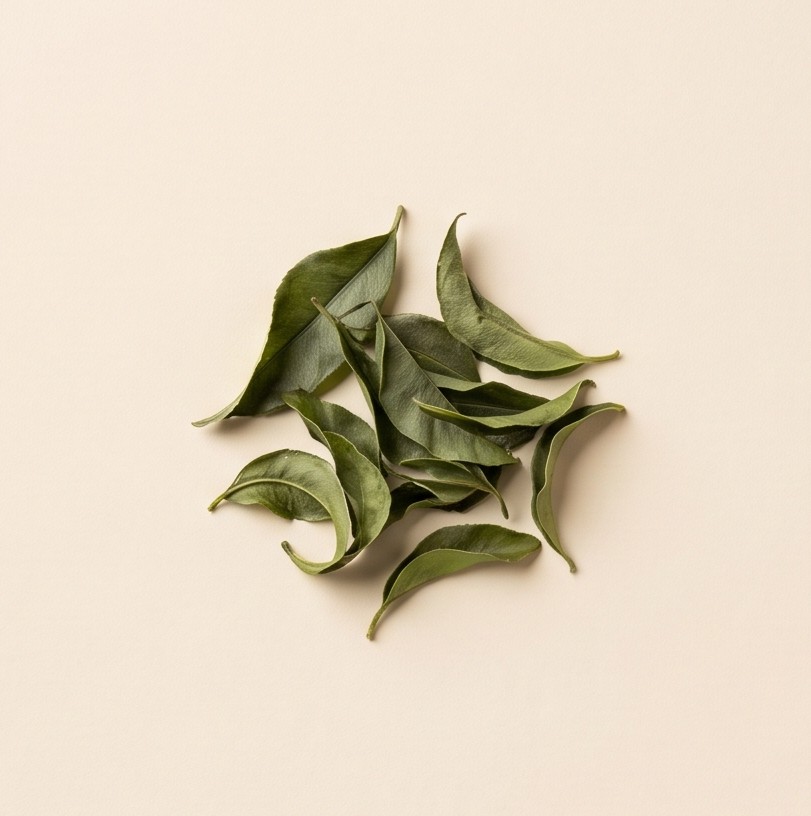 Suntheanine L-Theanine